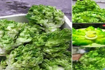 Cải mầm đá Sapa đắt như thịt: Coi chừng hàng Tàu đột lốt