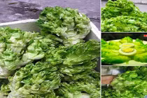 Cải mầm đá Sapa đắt như thịt: Coi chừng hàng Tàu đột lốt