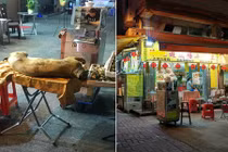 Nghe tiếng kêu thảm thương trong quán ăn... đến phát hiện điều kinh hoàng