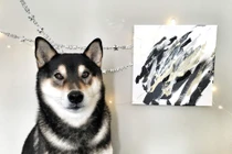 Chú chó vừa có tài, sắc, vẽ tranh bán được cả nghìn đô