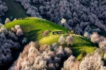 Mê đắm xứ sở thần tiên tràn ngập hoa ở Trung Quốc