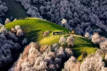 Mê đắm xứ sở thần tiên tràn ngập hoa ở Trung Quốc