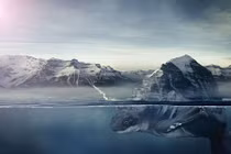 Hình ảnh siêu thực đậm chất viễn tưởng của động vật 