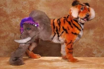 Những bộ cánh thời trang khiến loài chó khóc thét 