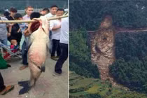 Bắt được cá “thành tinh”, sững sờ sườn núi sạt lở hình con cá bị bắt 