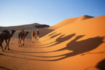 Top sự thật không tin nổi về các sa mạc trên thế giới