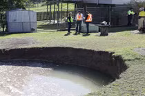 Ngủ dậy, thấy sân sau xuất hiện điều kỳ lạ... chuyên gia cũng sốc 