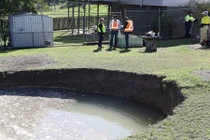 Ngủ dậy, thấy sân sau xuất hiện điều kỳ lạ... chuyên gia cũng sốc 