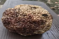 15 bức ảnh khiến người xem cảm thấy "xoắn não"