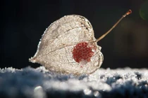 Choáng loạt hiện tượng thiên nhiên kỳ thú khiến tâm trí bạn “nổ tung“