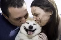 Mê mẩn với cô chó hạnh phúc nhất thế giới