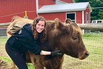 Lạ đời bác sĩ "thần thánh" chữa trị cho người là... bò