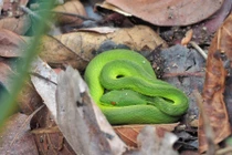 Thò tay vào thùng đồ chơi, cô bé bật khóc và sự thật rùng rợn