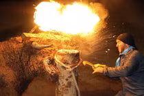 Kinh hoàng cảnh bò đực bị đốt sừng, giết tàn nhẫn