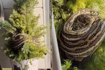 Hào hứng trang trí cây thông Noel, "té ngửa" thấy "quái vật"