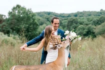 Kịch tính con hươu "bá đạo", tranh cướp hoa cô dâu