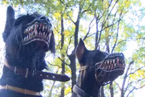 Khóc thét với chiếc rọ mõm ác quỷ của chó 