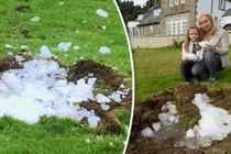 Đột nhiên thấy nhà rung lắc, chạy ra sân thì thấy điều choáng váng này