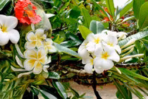 Ngỡ ngàng cơ thể trần trụi hóa tác phẩm nghệ thuật 