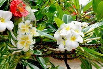 Ngỡ ngàng cơ thể trần trụi hóa tác phẩm nghệ thuật 