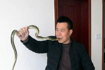 Lạnh gáy với "dị nhân" nuốt rắn sống, xỏ rắn qua lỗ mũi 