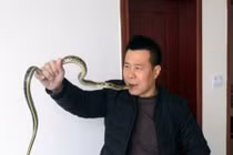 Lạnh gáy với "dị nhân" nuốt rắn sống, xỏ rắn qua lỗ mũi 