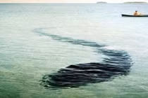 10 bí ẩn rùng rợn giới khoa học không thể giải thích