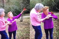 Chim hồng y cố thủ không đi và chuyện ly kỳ phía sau