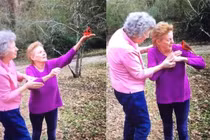 Chim hồng y cố thủ không đi và chuyện ly kỳ phía sau