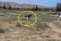 Kinh hoàng đại bàng săn giết không buông bé gái