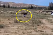 Kinh hoàng đại bàng săn giết không buông bé gái