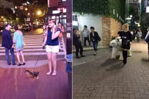 Trào lưu nuôi thú cưng quái dị khiến dân mạng phát hoảng