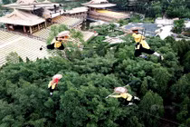 Cận cảnh công phu khó tin mới đây của nhà sư Thiếu Lâm 