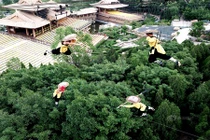 Cận cảnh công phu khó tin mới đây của nhà sư Thiếu Lâm 