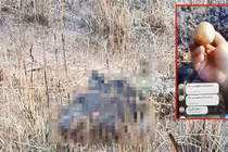 Đi săn chim trĩ, thanh niên nhặt được thứ chết người, còn dại... 