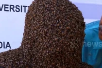 Video nóng nhất hôm nay: Chàng trai để 60.000 con ong bu kín mặt