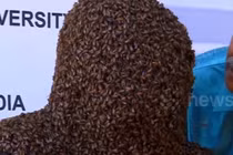 Video nóng nhất hôm nay: Chàng trai để 60.000 con ong bu kín mặt