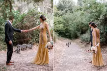 "Băng đảng" gấu mèo xuất hiện chớp nhoáng "troll" cô dâu chú rể