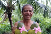 Bỏ ăn, bỏ ngủ ngồi trên cây, U60 'nặn' dừa hồ lô lạ mắt bán Tết