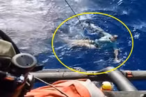 Rơi xuống biển suýt chết, người đàn ông sống sót nhờ vật không ngờ