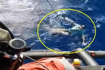 Rơi xuống biển suýt chết, người đàn ông sống sót nhờ vật không ngờ