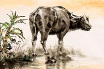 Tử vi tuổi Sửu tháng 3 năm 2018 âm lịch