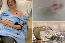 Phá đám đôi rắn độc nhất TG ân ái, cô gái thoát chết thần kỳ