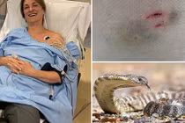 Phá đám đôi rắn độc nhất TG ân ái, cô gái thoát chết thần kỳ