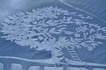 Nghệ thuật độc đáo được tạo ra bằng cách đi bộ 