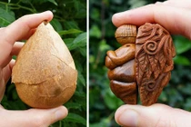 Chỉ từ hạt bơ, bạn sẽ không ngờ đến những tác phẩm nghệ thuật này 