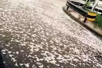 Xuất hiện mưa bọt bí ẩn sau vụ nổ ở Thiên Tân 