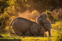 Anh em voi khổng lồ đùa nhau dưới nắng đẹp như tranh vẽ 