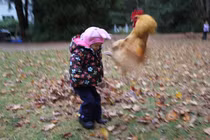 Những khoảnh khắc loài chim khiến con người muốn khóc thét 