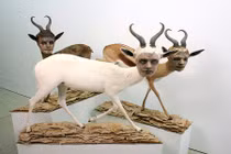 Rùng rợn tác phẩm nghệ thuật không dành cho người yếu tim 